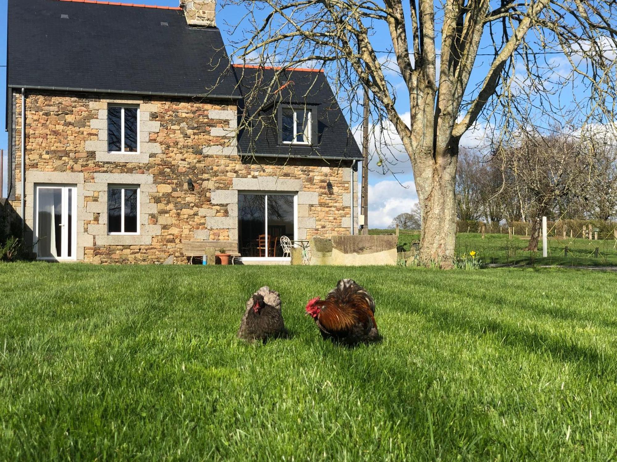 Maison Chic Proche Du Mont Saint Michel Marcilly  ภายนอก รูปภาพ